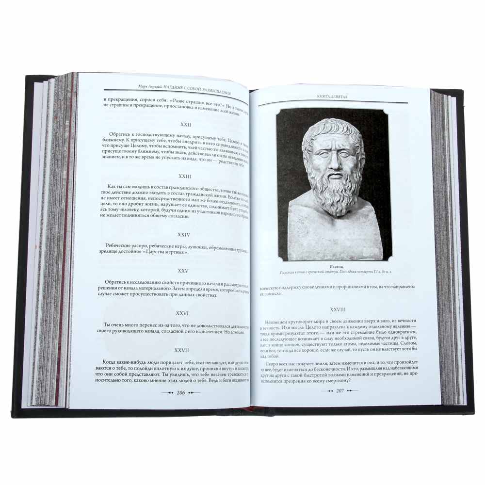 mark-avrelij-naedine-s-soboj-razmyshleniya-kozhe-straniczy2731 Книга Марк Аврелий “Наедине с собой. Размышления” коже страницы